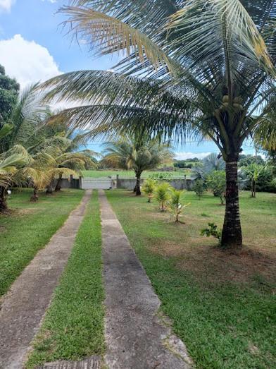 Ti Bijou Villa Baie-Mahault Bagian luar foto